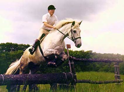 HORSE DUDS & SUDS - 600 Valentine St, Hackettstown, New Jersey